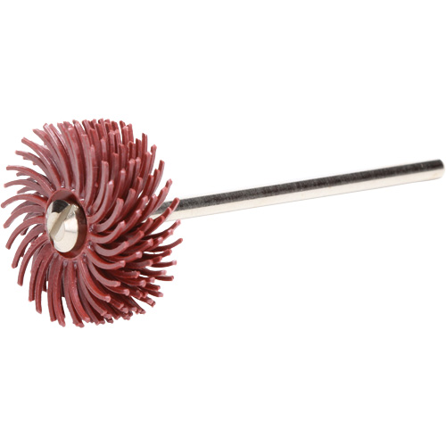 Scotch-Brite Radial Bristle Discs, P220X Grit, 3/4" Dia. Moffatt Supply & Specialties