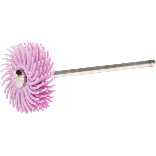 Scotch-Brite Radial Bristle Discs, Pumice Grit, 3/4" Dia. Moffatt Supply & Specialties