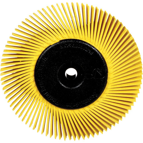 Brosses radiales bristle pour meuleuses d'&eacute;tabli, Grain 80X, 6" dia. Moffatt Supply & Specialties
