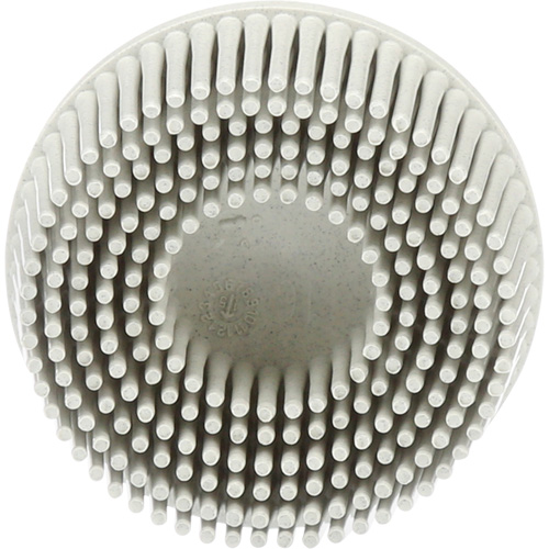 Scotch-Brite Roloc Bristle Discs, 120 Grit, 2" Dia. Moffatt Supply & Specialties