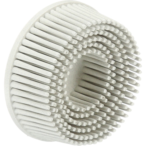 Scotch-Brite Roloc Bristle Discs, 120 Grit, 2" Dia. Moffatt Supply & Specialties