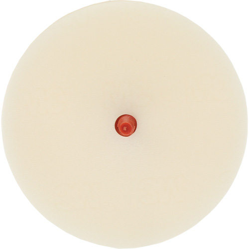 Disque pour enlever les bandes et les adh&eacute;sifs pour moulures Scotch-Brite, 4" dia. Moffatt Supply & Specialties