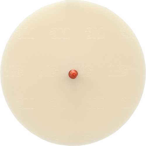 Scotch-Brite Moulding Adhesive and Stripe Removal Disc 7502, 6" Dia. Moffatt Supply & Specialties