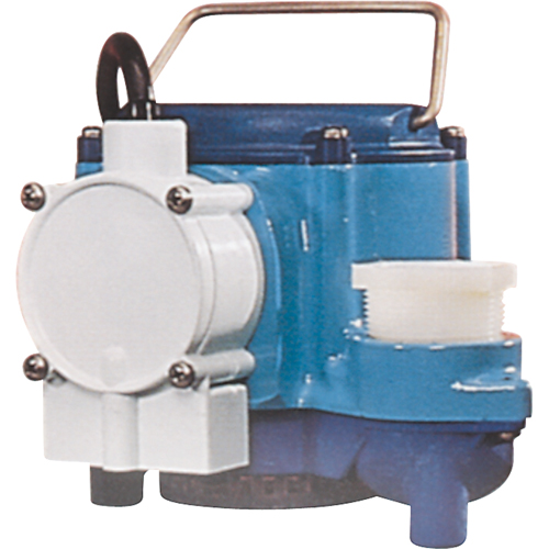 Pompes submersibles, 1/3 CV, 46 gal./h, 115 V, 9 A Moffatt Supply & Specialties