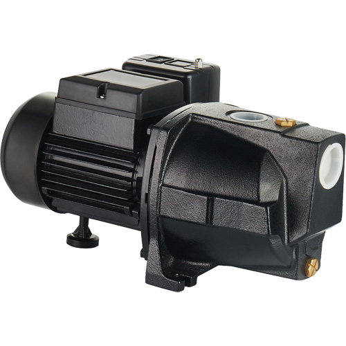 Pompe &agrave; jet en fonte &agrave; double tension pour puit peu profond, 115 V/230 V, 1100 gal./h, 1 CV Moffatt Supply & Specialties