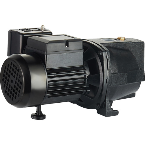 Pompe &agrave; jet en fonte &agrave; double tension pour puit peu profond, 115 V/230 V, 1100 gal./h, 1 CV Moffatt Supply & Specialties