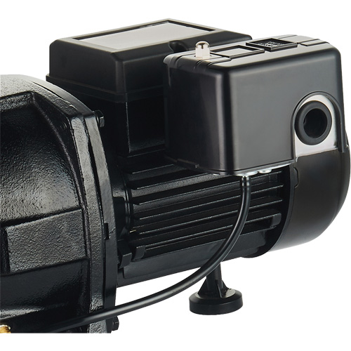 Pompe &agrave; jet en fonte &agrave; double tension pour puit peu profond, 115 V/230 V, 1100 gal./h, 1 CV Moffatt Supply & Specialties