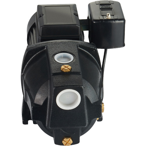 Pompe &agrave; jet en fonte &agrave; double tension pour puit peu profond, 115 V/230 V, 1100 gal./h, 1 CV Moffatt Supply & Specialties
