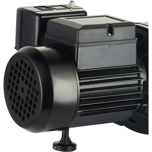 Pompe &agrave; jet en fonte &agrave; double tension pour puit peu profond, 115 V/230 V, 1100 gal./h, 1 CV Moffatt Supply & Specialties