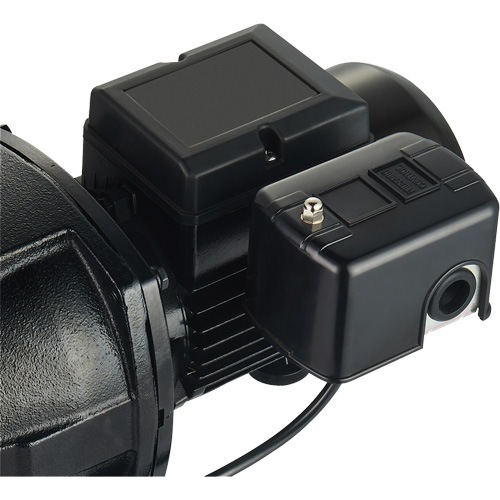 Pompe &agrave; jet en fonte &agrave; double tension pour puit peu profond, 115 V/230 V, 1100 gal./h, 1 CV Moffatt Supply & Specialties