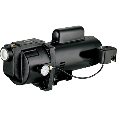 Pompe &agrave; jet en fonte &agrave; double tension pour puit peu profond, 115 V/230 V, 1260 gal./h, 1 CV Moffatt Supply & Specialties