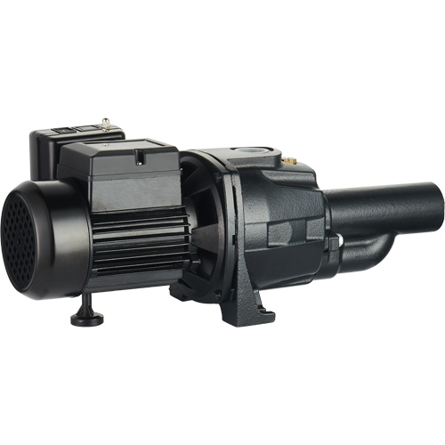 Pompe &agrave; jet en fonte &agrave; double tension transformable, 115 V/230 V, 1100 gal./h, 1/2 CV Moffatt Supply & Specialties