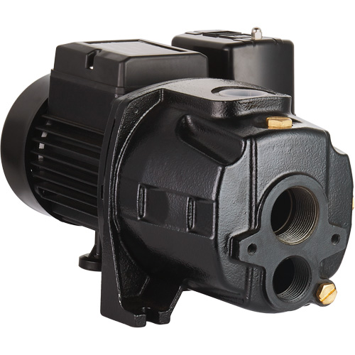 Pompe &agrave; jet en fonte &agrave; double tension transformable, 115 V/230 V, 1100 gal./h, 1/2 CV Moffatt Supply & Specialties