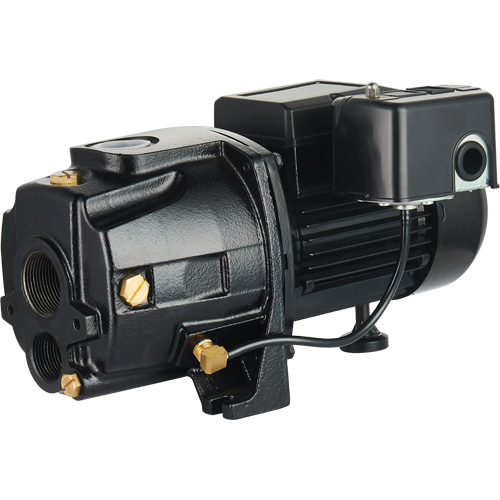 Pompe &agrave; jet en fonte &agrave; double tension transformable, 115 V/230 V, 1100 gal./h, 1/2 CV Moffatt Supply & Specialties