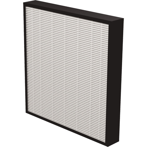 AeraMax&reg; Pro AM3 & AM4 2" True HEPA Filter, Box, 13.75" W x 2.25" D x 14.38" H Moffatt Supply & Specialties
