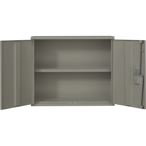 Armoire murale, Acier, 2 Tablettes, 30" h x 36" la x 12" P, Gris Moffatt Supply & Specialties