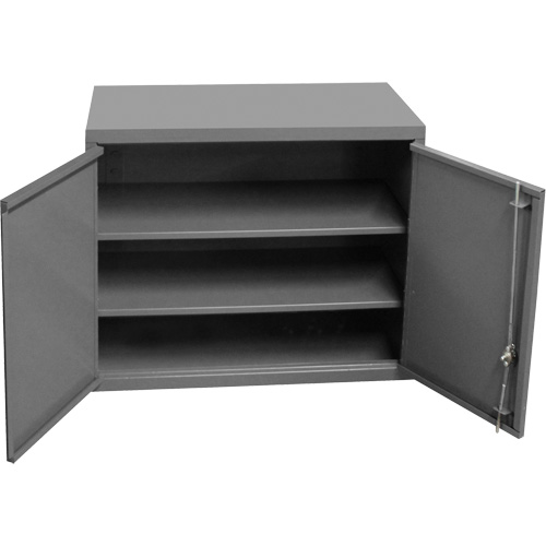 Armoire murale, 27" h x 13-11/16" la x 35-7/8" p, 2 tablettes, Acier, Gris Moffatt Supply & Specialties