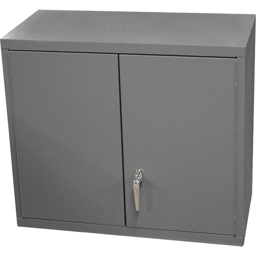 Armoire murale, 27" h x 13-11/16" la x 35-7/8" p, 2 tablettes, Acier, Gris Moffatt Supply & Specialties