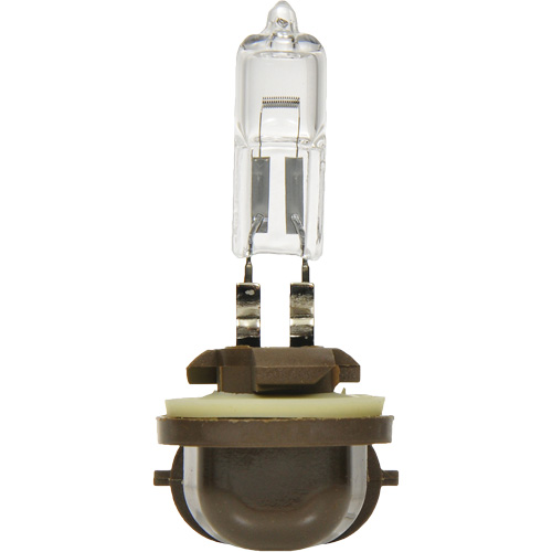 886 Basic Fog Light Bulb, Halogen, 50 W, Off White Moffatt Supply & Specialties