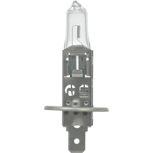 64155 Basic Automotive Bulb, Halogen, 78 W, Off White Moffatt Supply & Specialties