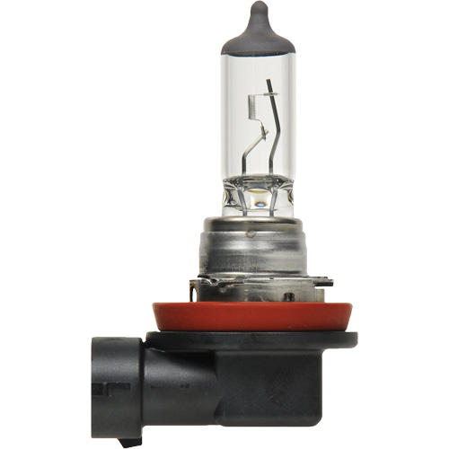 H8 Basic Headlight Bulb, Halogen, 35 W, Off White Moffatt Supply & Specialties