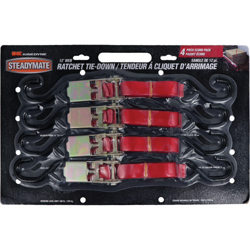 Ratchet Utility Straps, S-Hook, 1" W x 12' L, 500 lbs. (230 kg) Working Load Limit Moffatt Supply & Specialties