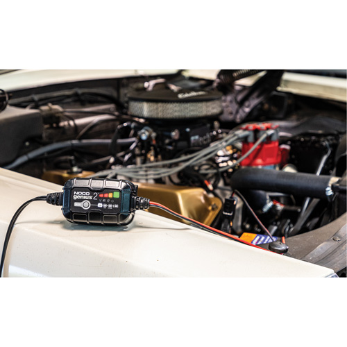 Chargeur de batterie 2 A Genius 2 Moffatt Supply & Specialties