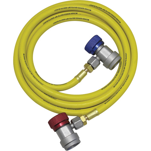 Ensemble flexible de rinçage pour syst&egrave;me de climatisation R134a Moffatt Supply & Specialties