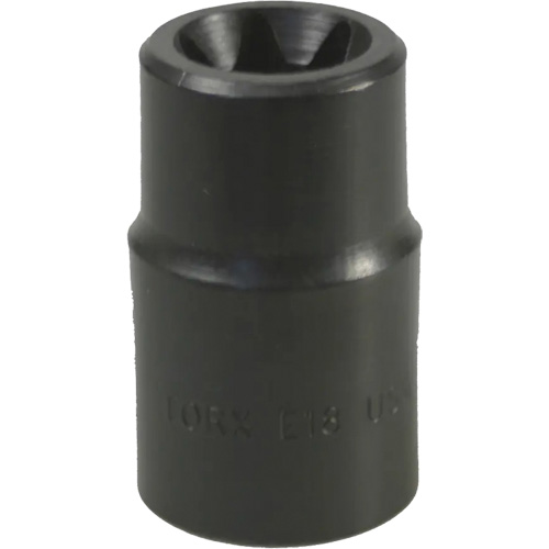 E-18 Torx&reg; Socket Moffatt Supply & Specialties