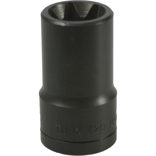 E-20 Torx&reg; Socket Moffatt Supply & Specialties