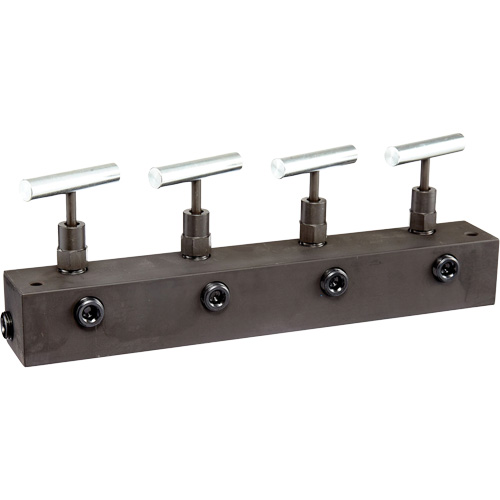 Bloc collecteur de 12" de long avec 4 robinets &agrave; pointeau et 3/8" NPTF Moffatt Supply & Specialties