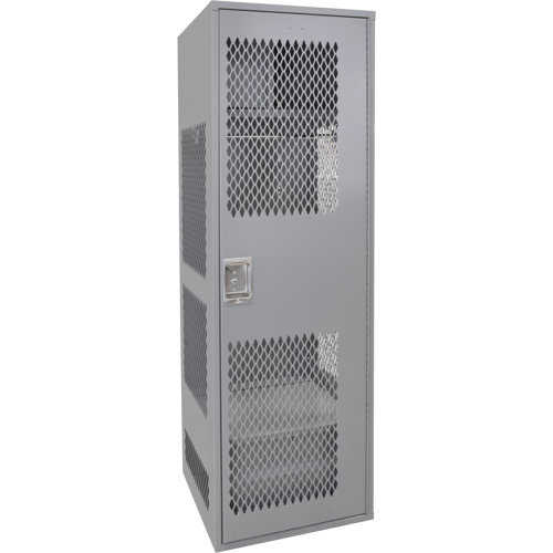 Gear Locker with Door, Steel, 24" W x 24" D x 72" H, Grey Moffatt Supply & Specialties