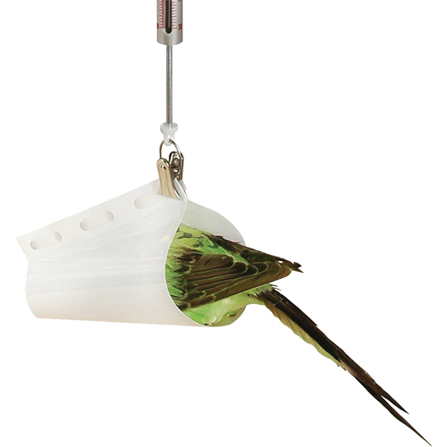 Micro Spring Scale Accessory - Bird Weighing Cone Moffatt Supply & Specialties