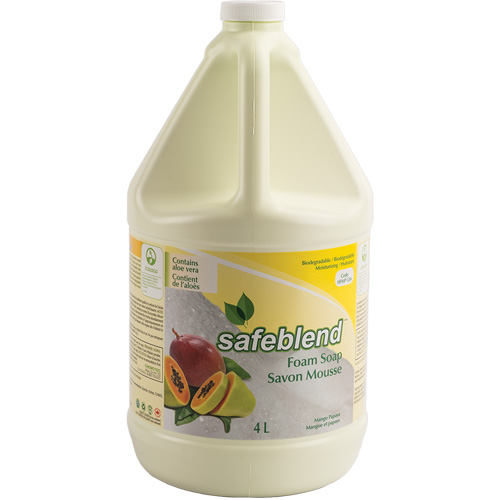Hand & Body Soap, Foam, 4 L, Scented Moffatt Supply & Specialties