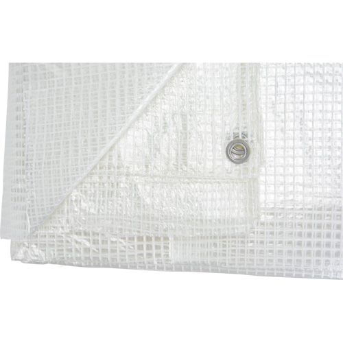 B&acirc;ches transparentes, 20' x 16' x 8 mils Moffatt Supply & Specialties