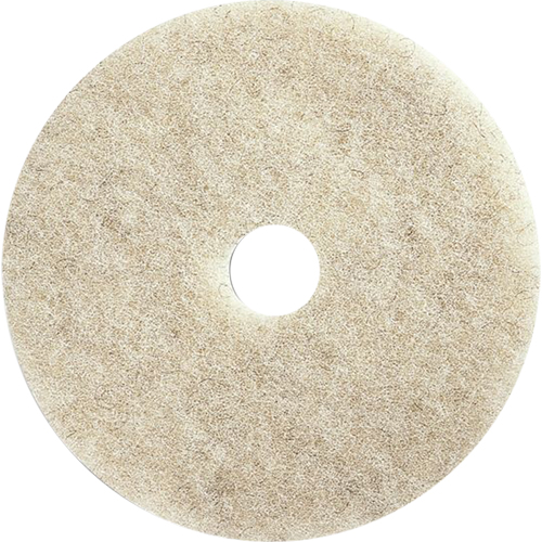 Tampons pour l'entretien des planchers, 21", Brunissage, Brun Moffatt Supply & Specialties