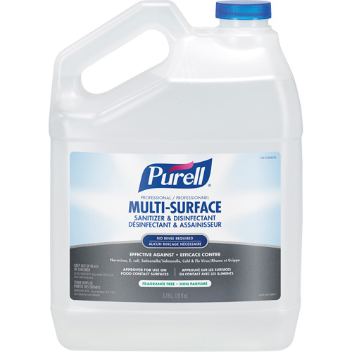 Professional Multi-Surface Sanitizer & Disinfectant, 3.78 L, Jug Moffatt Supply & Specialties