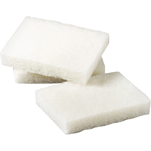 Scotch-Brite Light Duty Scrubbing Pad, 5" L x 3-1/2" W Moffatt Supply & Specialties