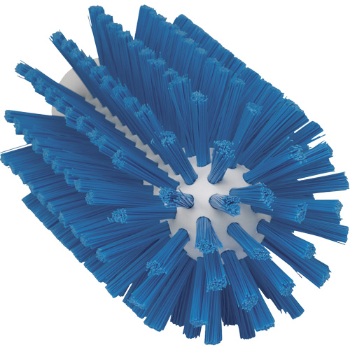 Brosse pour l'hygi&egrave;ne des aliments, Soies Moyen, Longueur de 6", Bleu Moffatt Supply & Specialties