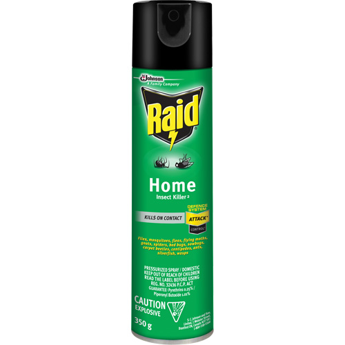 Insecticide pour insectes domestiques Raid, 350 g, &agrave; base de solvant Moffatt Supply & Specialties