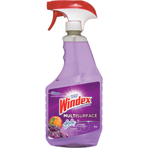 Windex&reg; Multi-Surface Cleaner, 765 ml, Trigger Bottle Moffatt Supply & Specialties