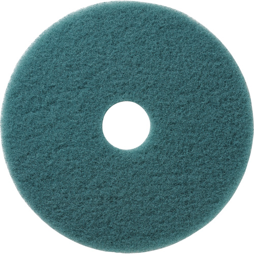 Tampons &agrave; polir pour planchers Aqua, 19", Brunissage, Aqua Moffatt Supply & Specialties