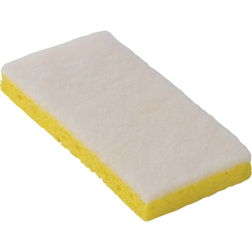 745W Light-Duty Scouring Sponges, 6-1/4" L x 3-1/5" W Moffatt Supply & Specialties