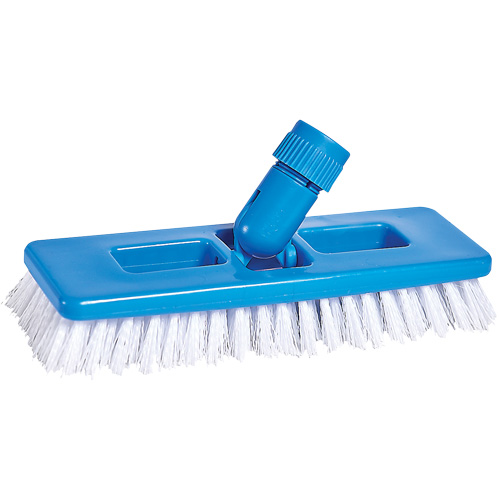 Brosse universelle &agrave; r&eacute;curer et pour coulis, 9" l, Soies Polypropyl&egrave;ne, Blanc Moffatt Supply & Specialties