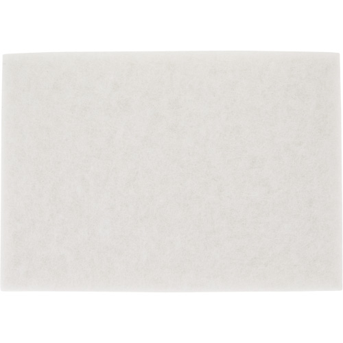 TopLine Speed Floor Pad, 14" x 20", Buffing/Cleaning/Polish, White Moffatt Supply & Specialties