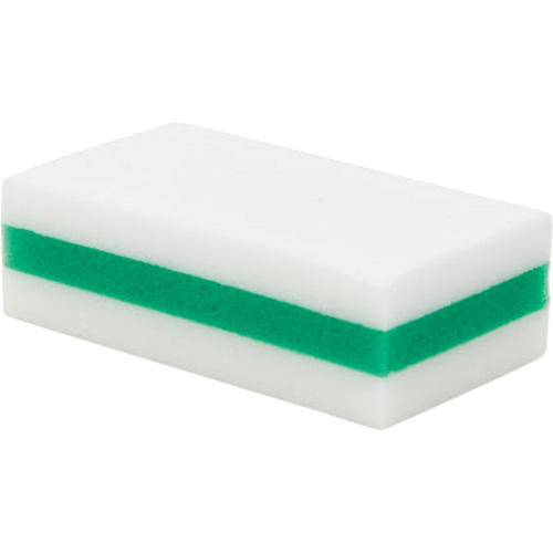 &eacute;ponge de nettoyage eXpunge Plus, &agrave; r&eacute;curer, 3-3/8" la x 6-1/4" l Moffatt Supply & Specialties