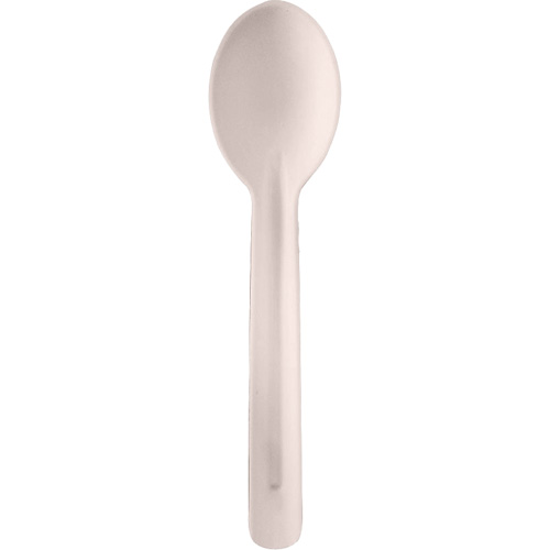 Bagasse Compostable Spoons Moffatt Supply & Specialties