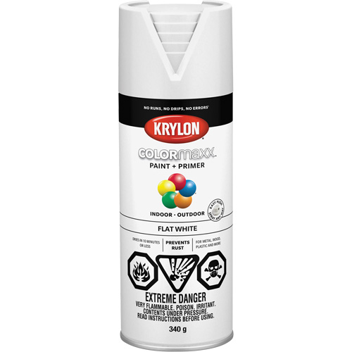 COLORmaxx Paint + Primer, White, Very Flat, 12 oz., Aerosol Can Moffatt Supply & Specialties