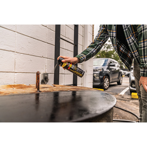 5-in-1 Rust Preventive Spray Enamel, Black, Gloss, 15 oz., Aerosol Can Moffatt Supply & Specialties