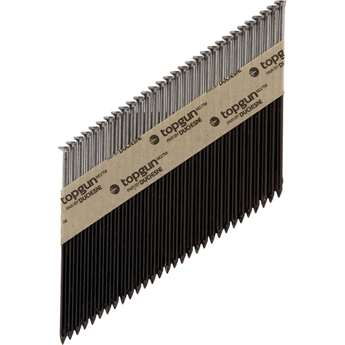 Collated Nails Moffatt Supply & Specialties